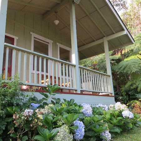 Carson'S Kaloko Mountain Cabin Кайлуа Кона Екстериор снимка